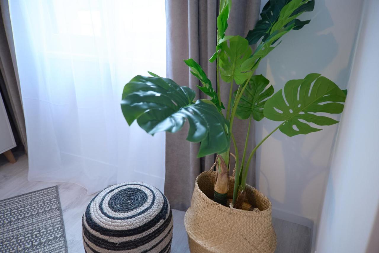 Center - 101 Apartment